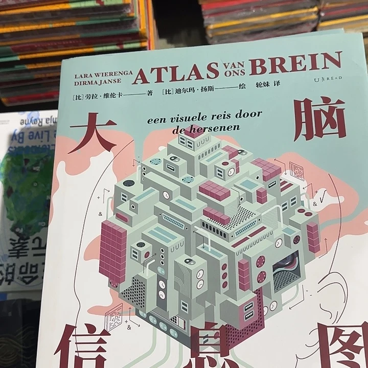 超大微瑕大脑信息图