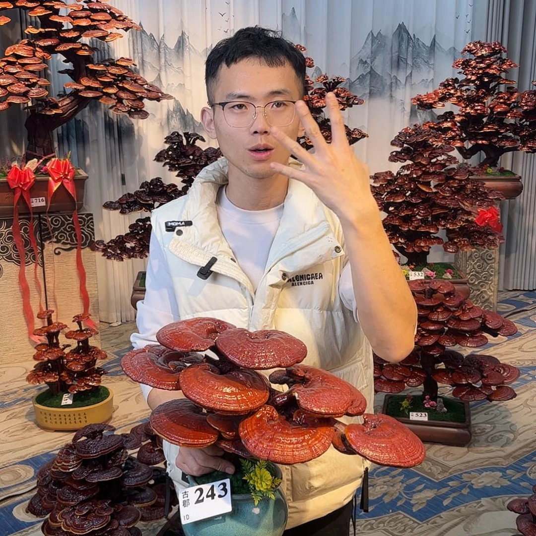 无花朵88888888888