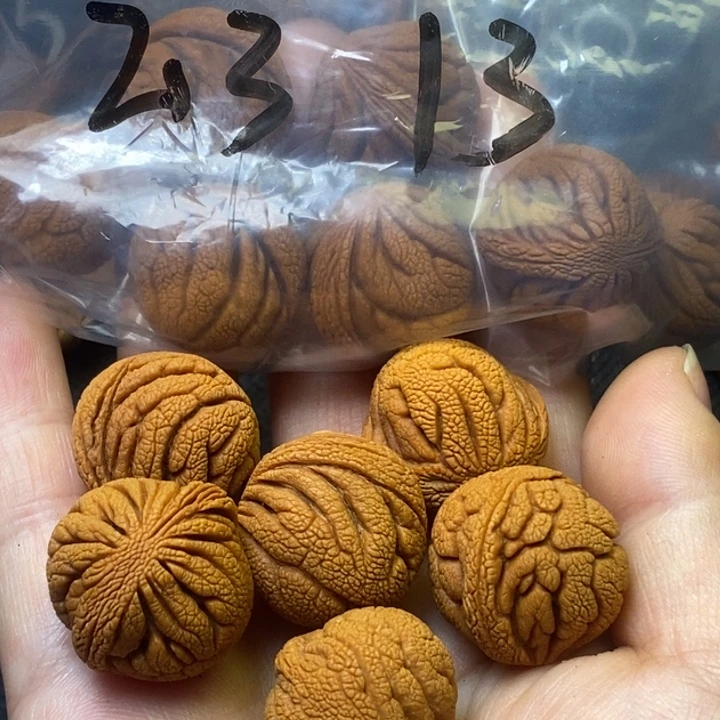 木质类秦岭山野生桃核