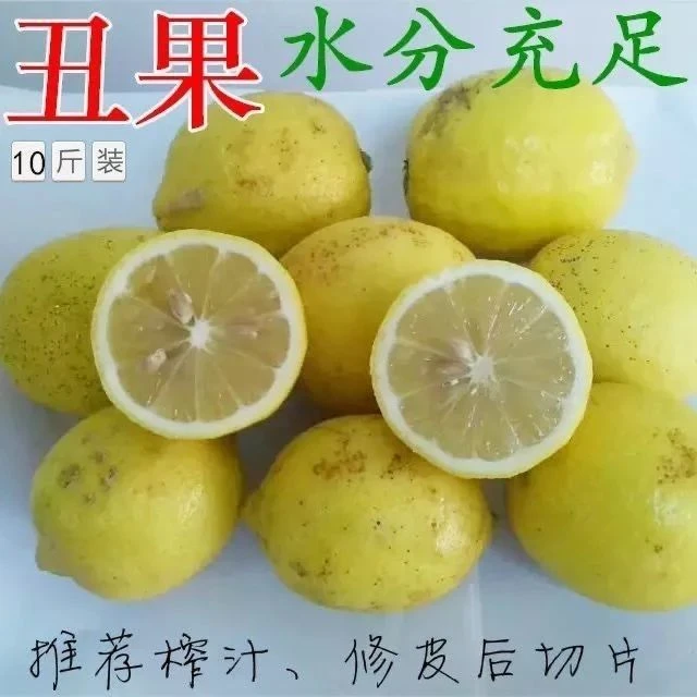 安岳丑春季柠檬冲泡采摘花皮微瑕榨汁新鲜天然口感多汁鲜果包邮