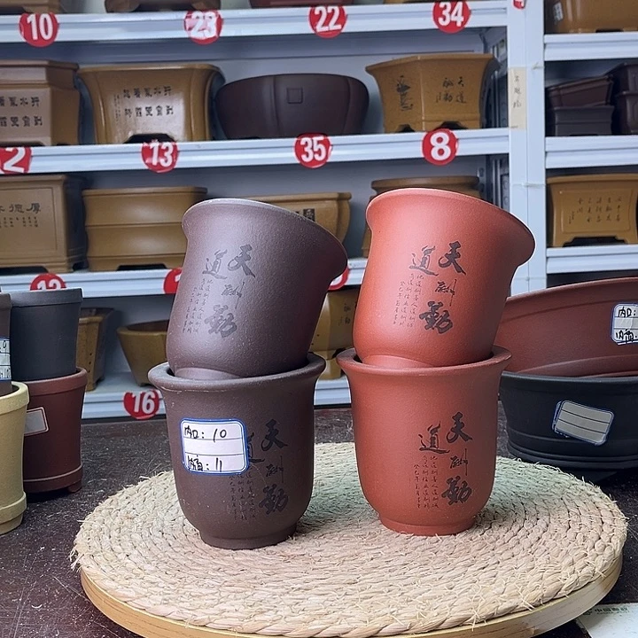 紫砂花盆你在一起