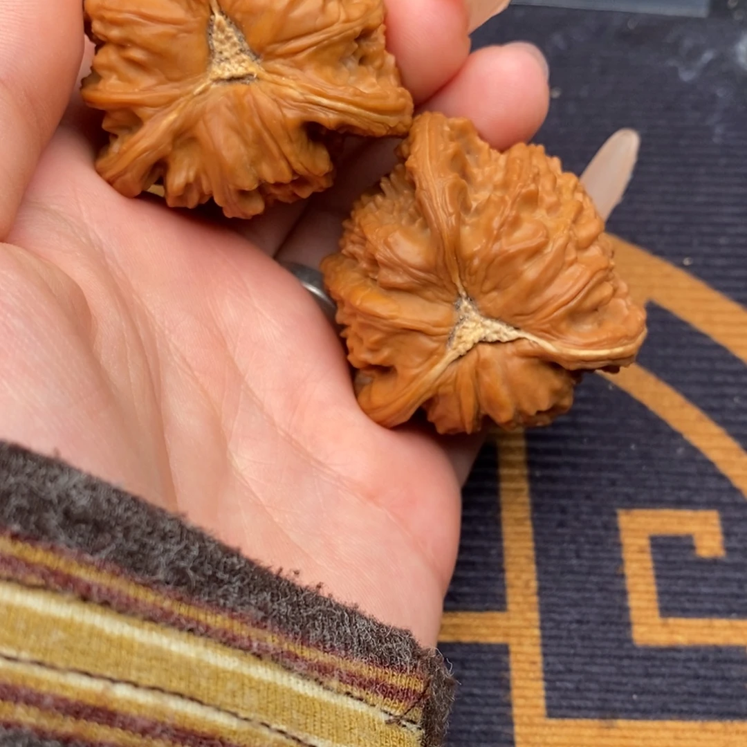 ※***文玩核桃把件白狮子