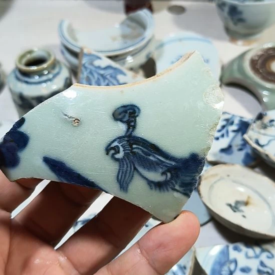 瓷片瓷片瓷片瓷片瓷片