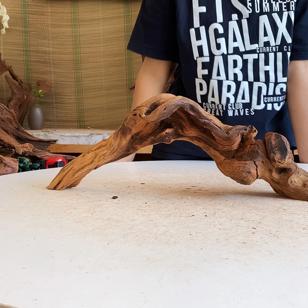 沉木造景鱼缸蟹缸