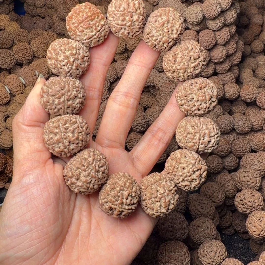 金刚菩提手串8瓣卡24尺，57号