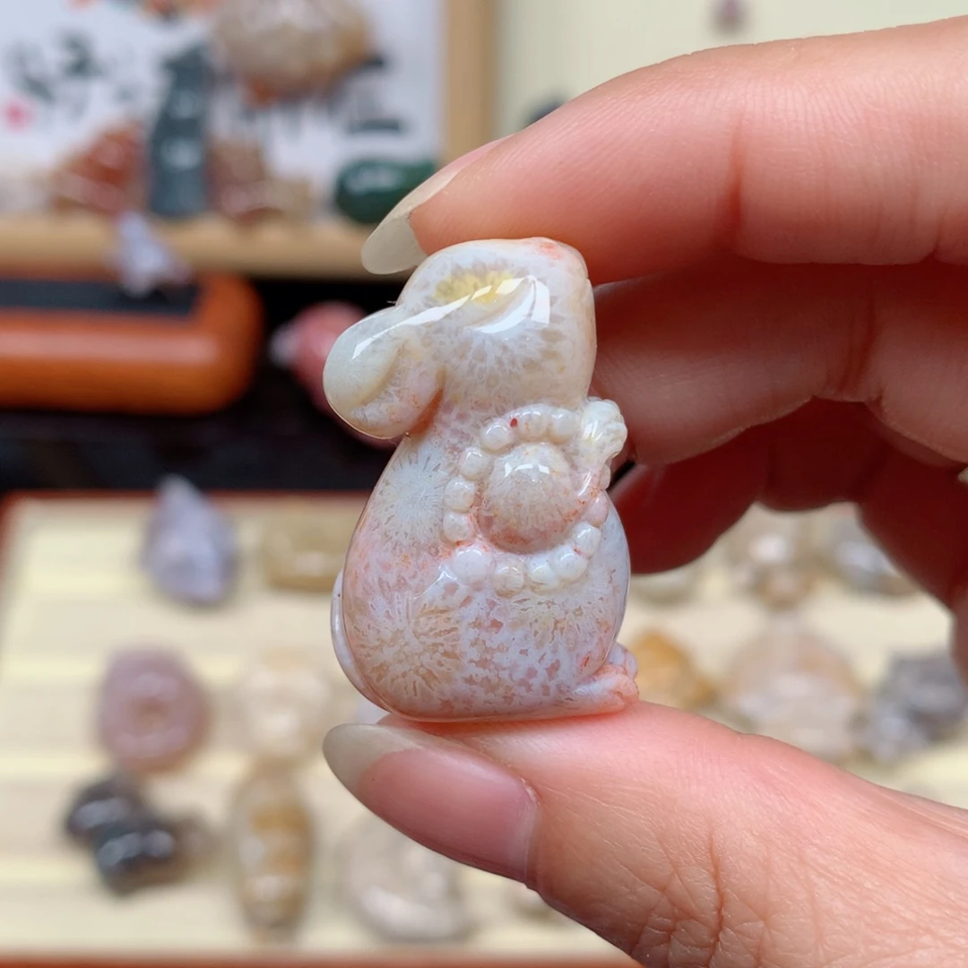 硅化玉珊瑚玉未镶嵌