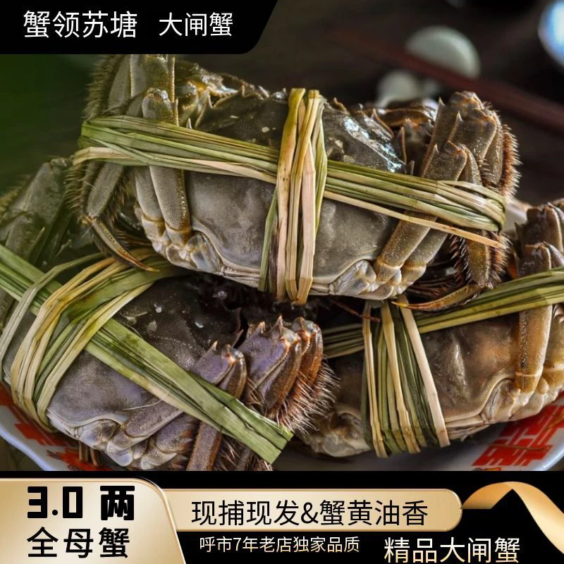 蟹领苏塘3.0两母蟹10只【鲜活大闸蟹】