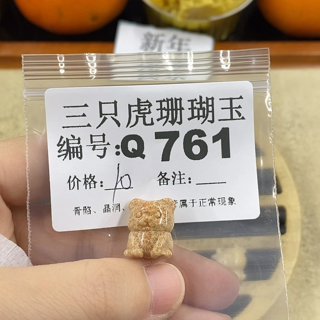 硅化珊瑚（珊瑚玉）1未镶嵌*️**