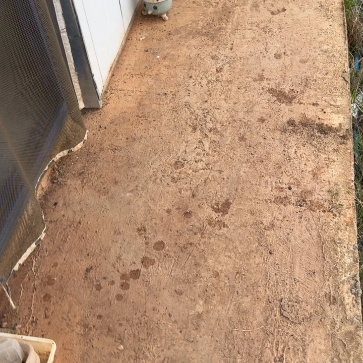 退货混合三十颗量拍