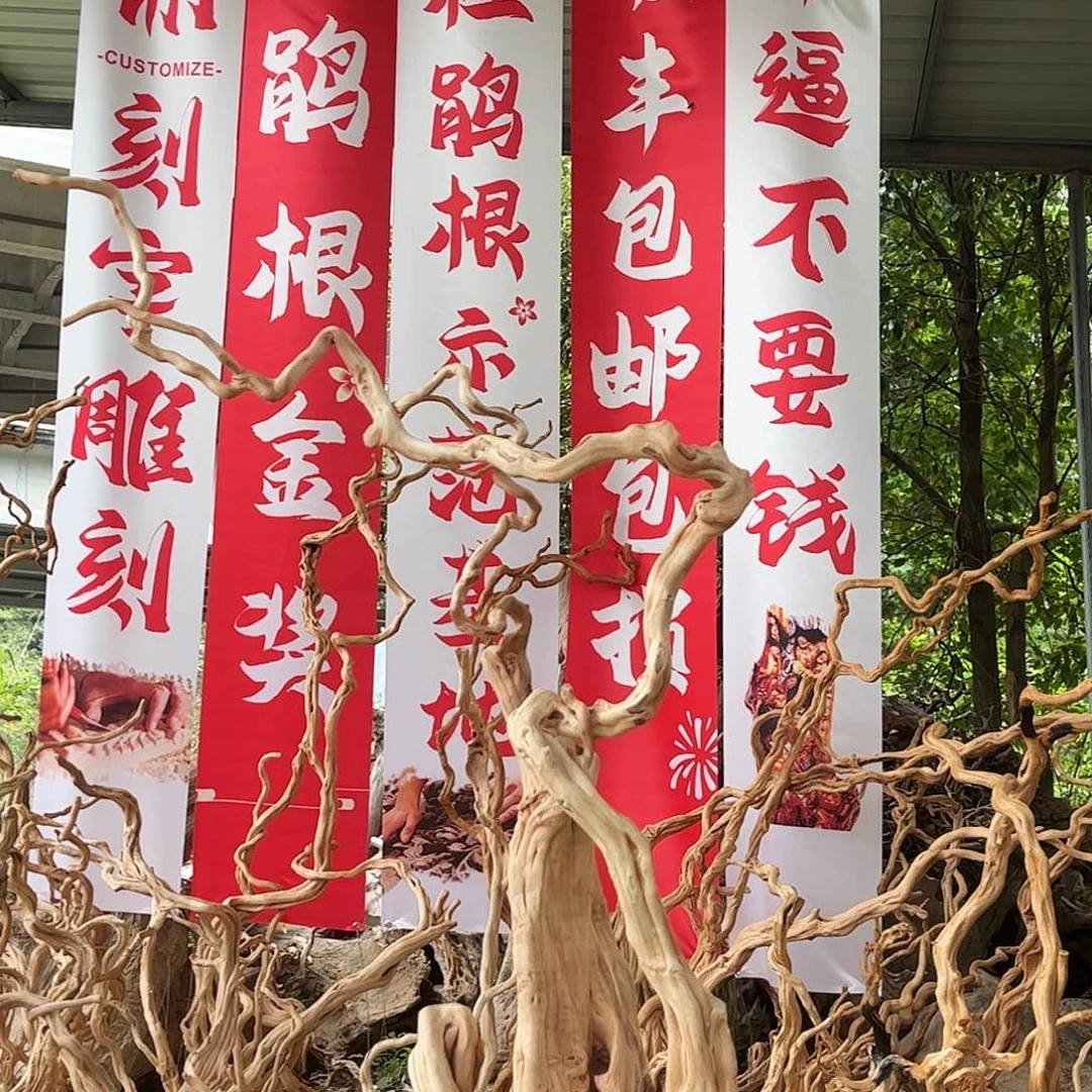 谁***静木我们一起加油哦