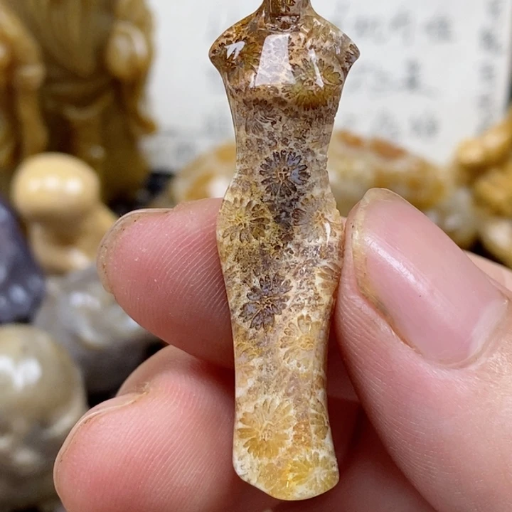 颈饰未镶嵌硅化珊瑚（珊瑚玉）有瑕