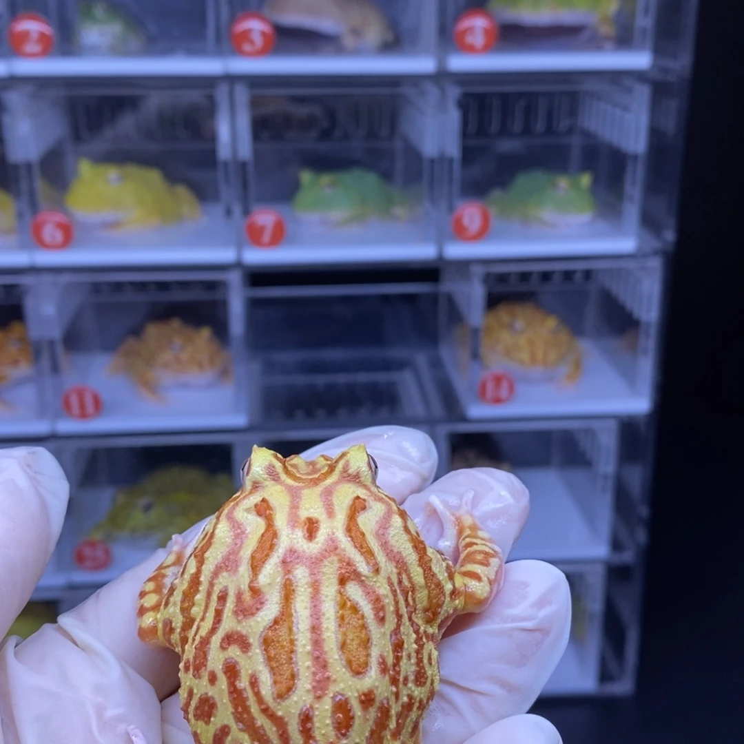 角蛙南瓜角蛙闪购链接