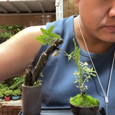 红陶S****a一物一拍所见即所得30