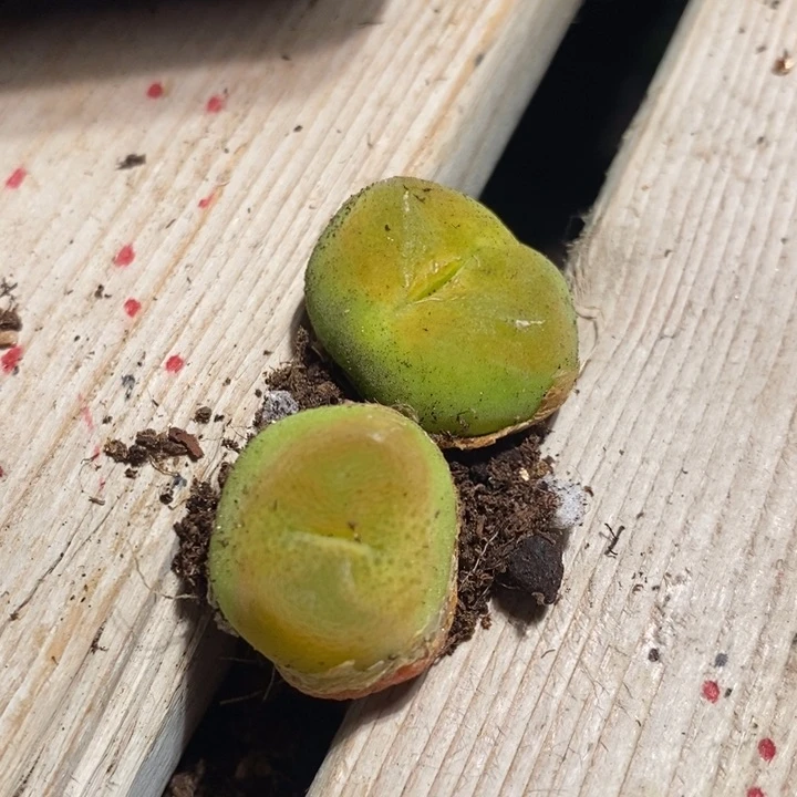 26304一组一组一组