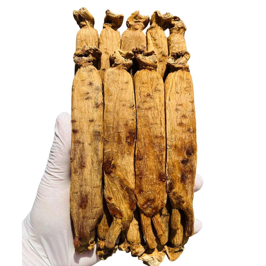 盛吉信太极参 天10/14枝-600克 太极王铁罐