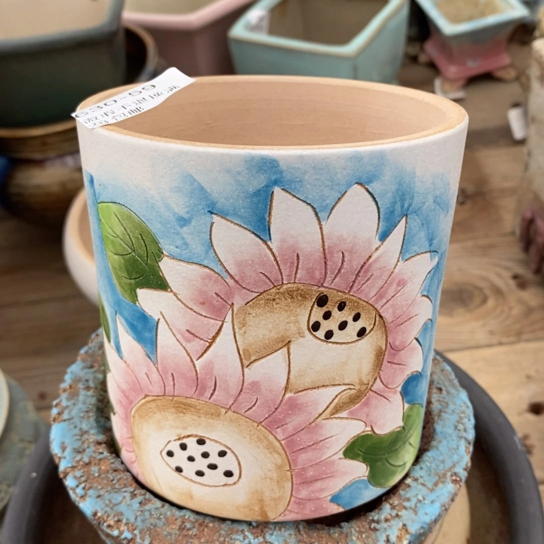 59号多肉盆口径9.5高10