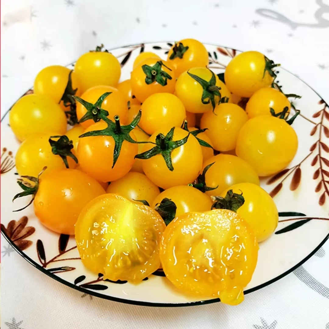 【坏果包赔】盘锦 黄姑娘 小柿子  净果三斤 甜脆爆汁 柿子味浓郁