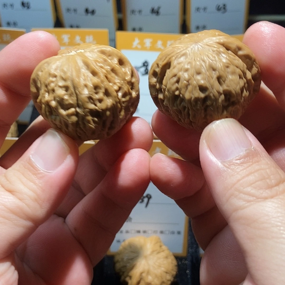 大叶紫檀（黑酸枝木类）文玩核桃手把件
