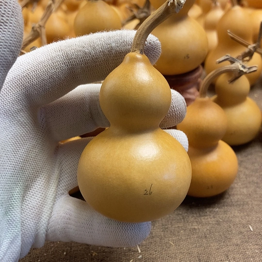 文玩葫芦 完美主义者 慎拍26