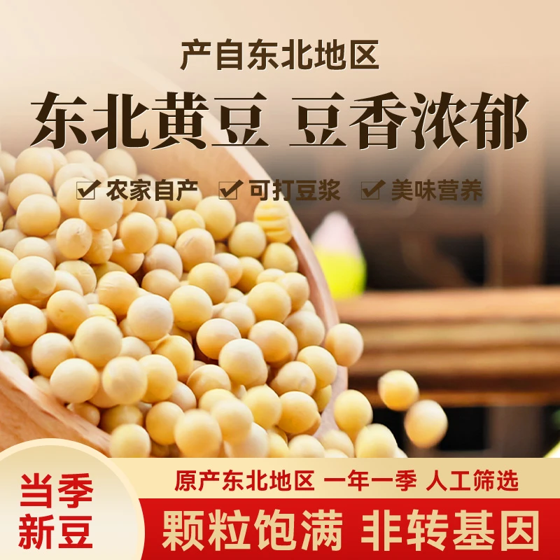 东北黄大豆高蛋白新豆农家自产五谷杂粮豆浆豆芽非转基因黄豆小包