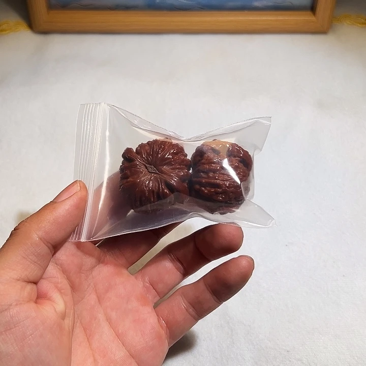 满***包核桃38尺寸白狮子文玩核桃
