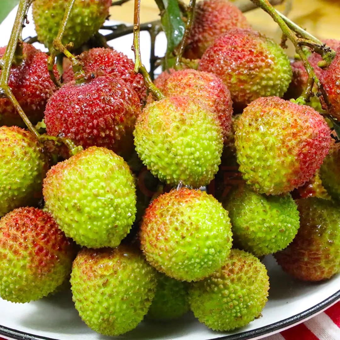 广东阳江荔枝现摘正宗妃子笑荔枝香甜多汁产地现摘现发新鲜水果