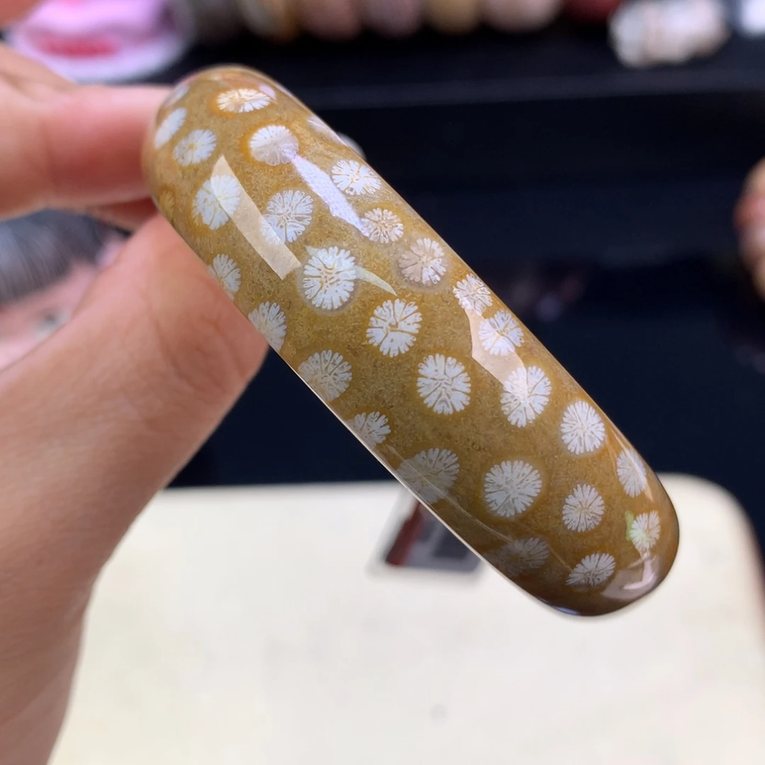 硅化珊瑚（珊瑚玉）未镶嵌颈饰500漏248绿底白花52.7圈（45号）