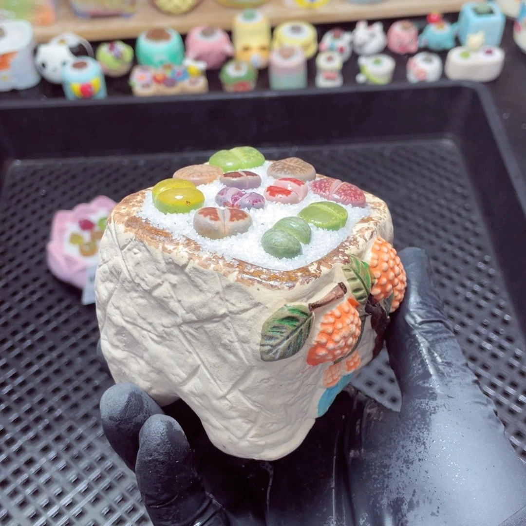 w3002--带盆土发货，零下地区拍保温箱