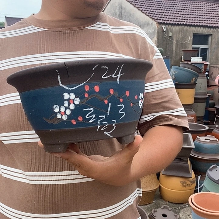 紫砂花瓶紫砂花盆盆栽植物种植