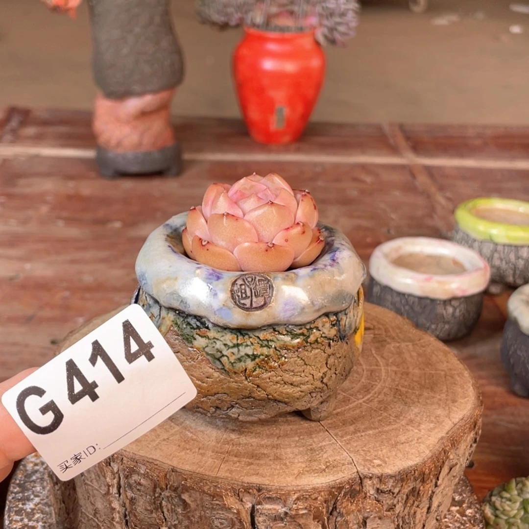 紫砂花盆孤品 不规则 油画山石小地雷内口4 不含肉