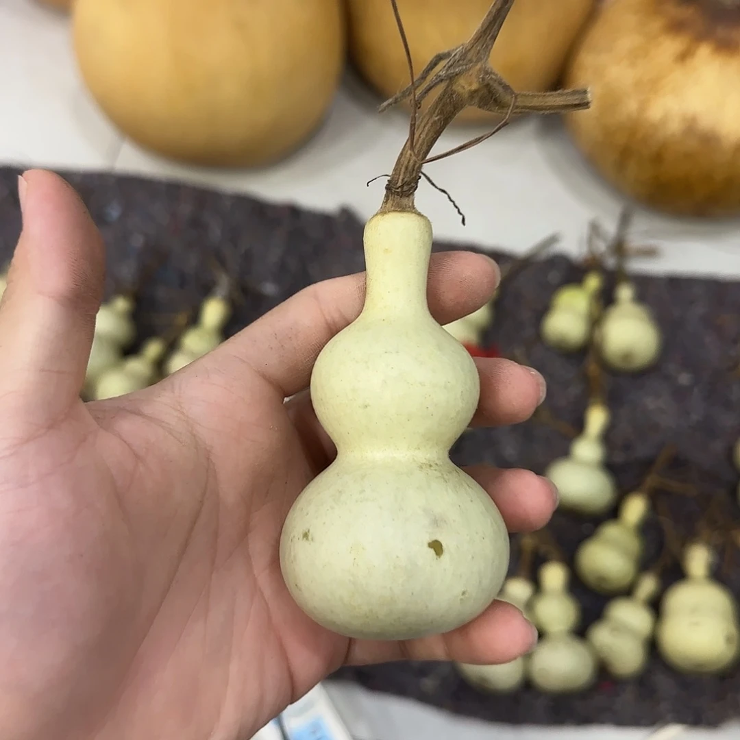 南***星葫芦dnsksnsjsjsnsnsnsns