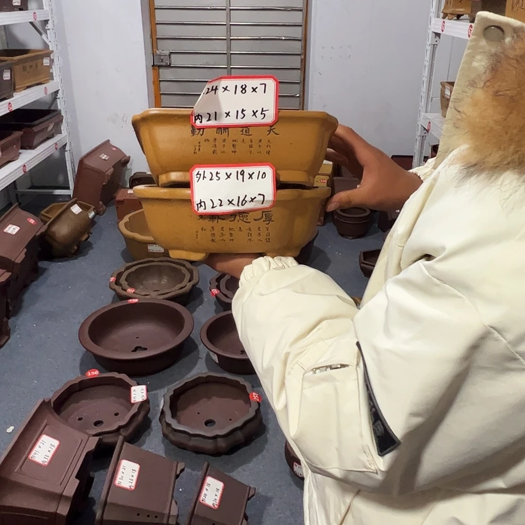 紫砂其他紫砂花盆