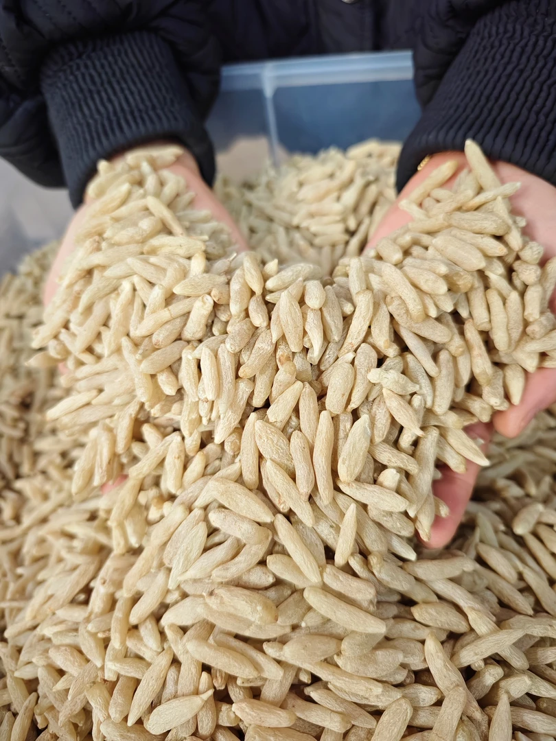 川麦冬 颗粒饱满