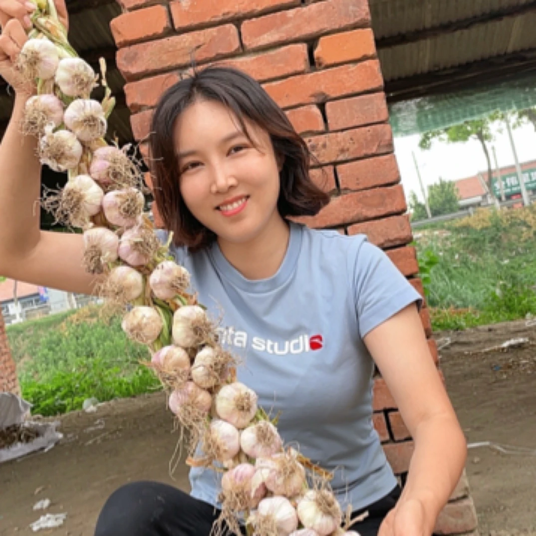 《大美精选》30头精品大果编辫宝坻紫皮四六瓣老品种六瓣红大蒜