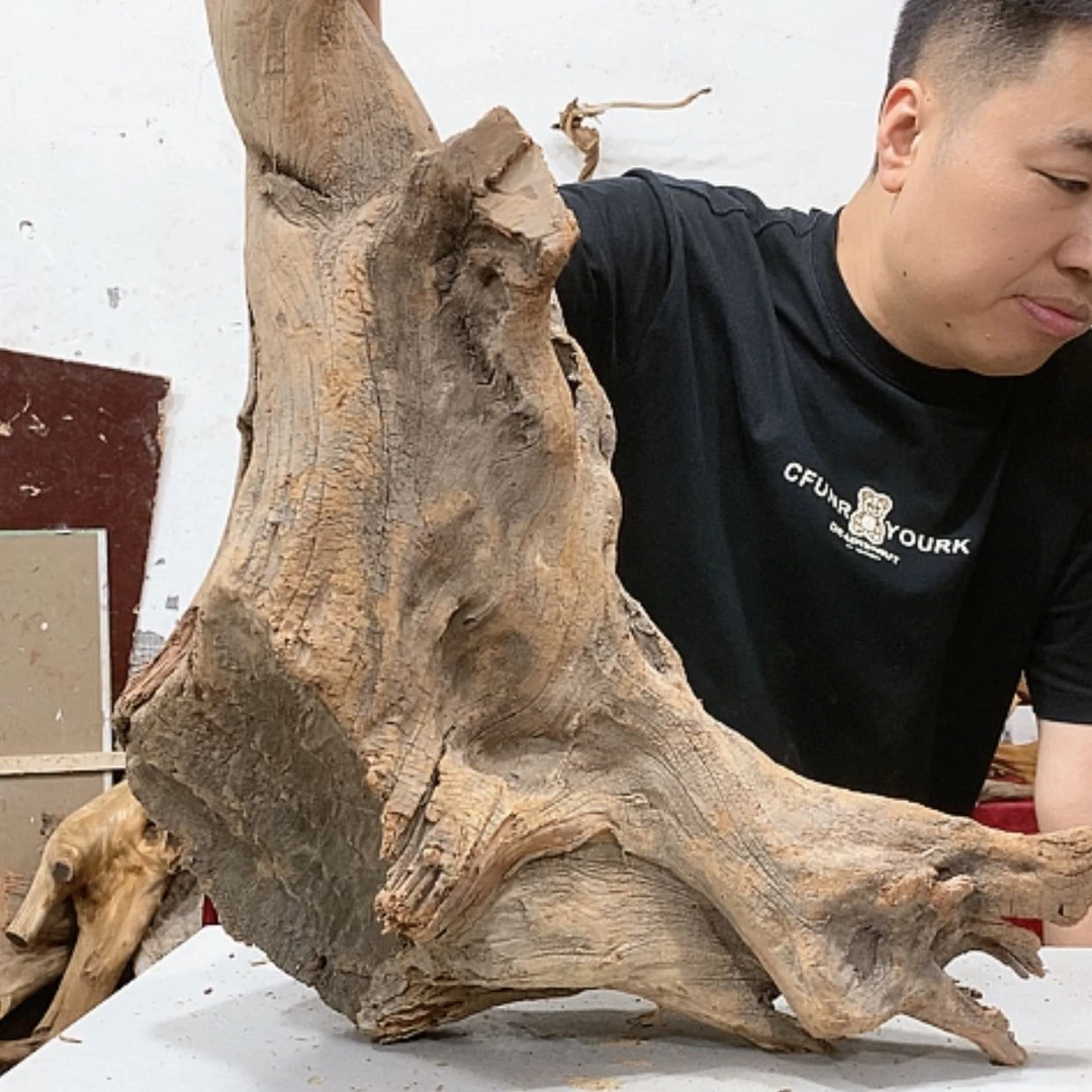 【闪购商品】柏木大***柏我们也在这里