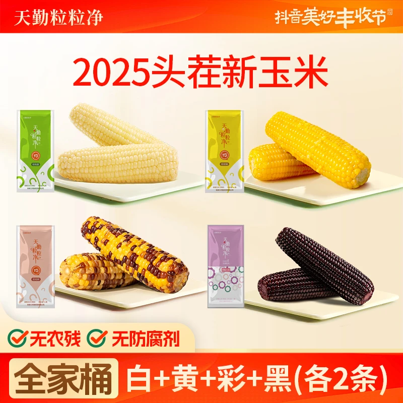 天勤粒粒净黄白彩黑糯玉米组合营养早餐香甜新鲜玉米有机减脂主食