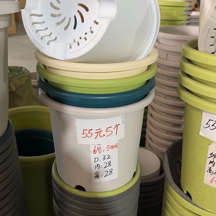 微瑕6#口径32无托果绿5个