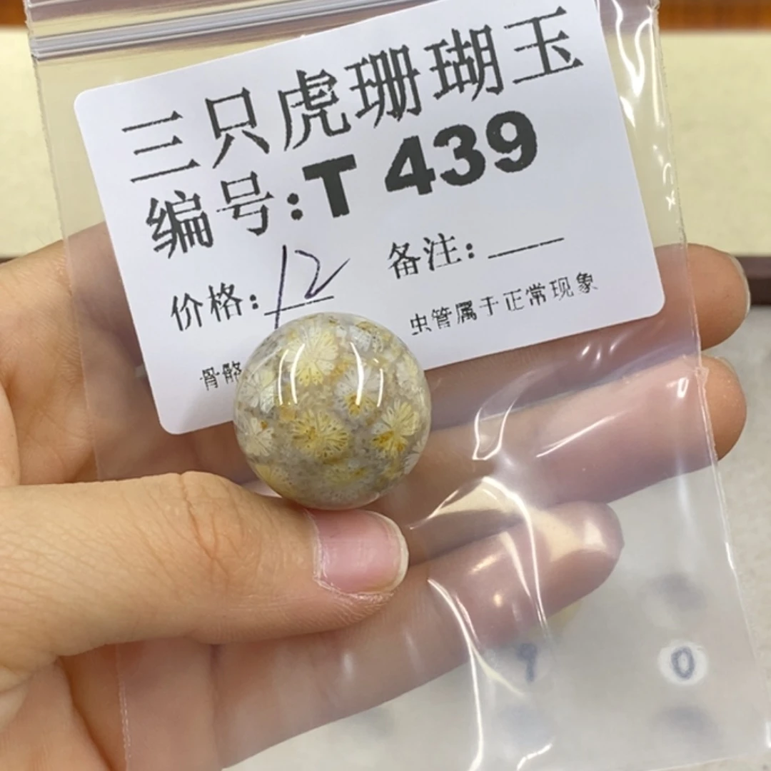 硅化珊瑚（珊瑚玉）1未镶嵌R*