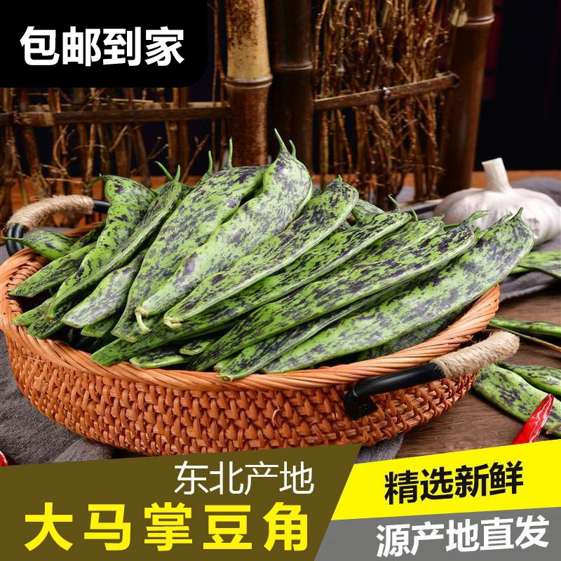 东北特色大马掌豆角特产新鲜蔬菜油豆角农家自种3斤/5斤包邮