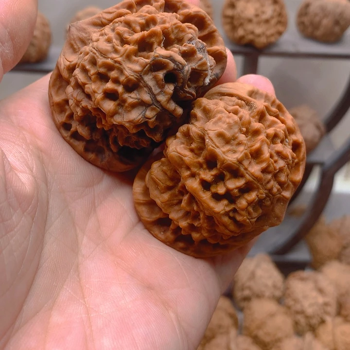 温***狼吊坠文玩核桃50龙鼎