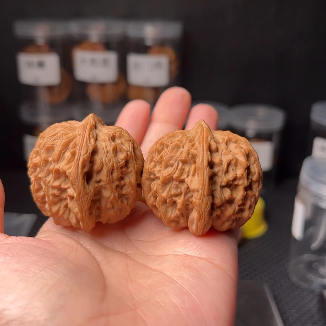 黄***梨41龙脉41龙脉41龙脉元宝