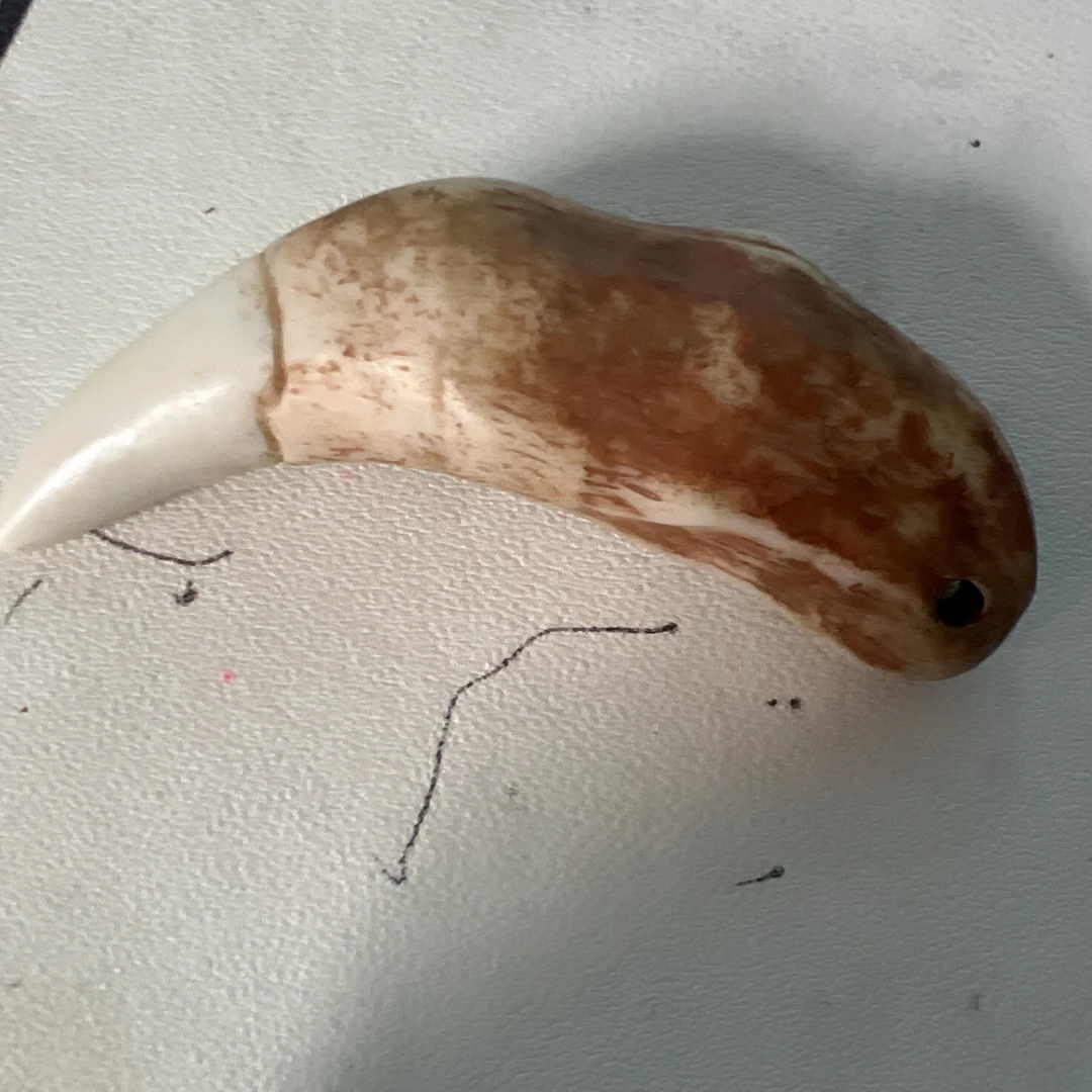 工艺品骆驼牙291号