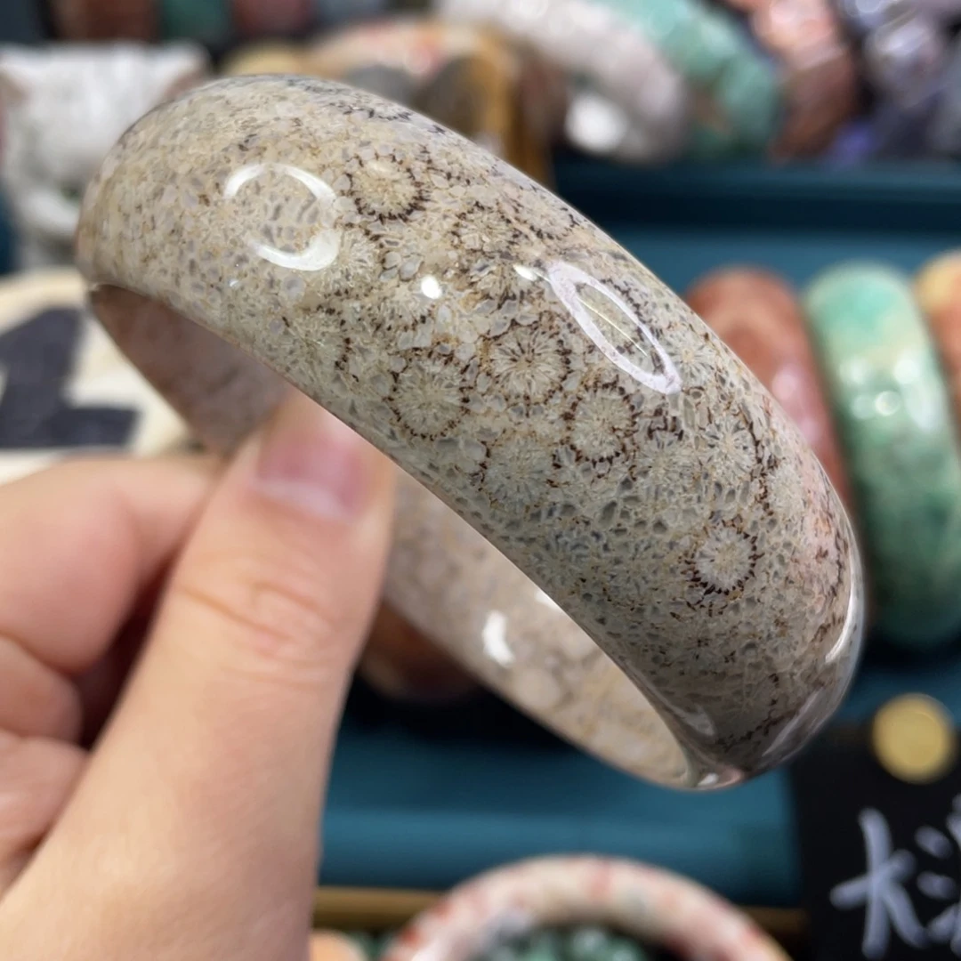 未镶嵌手镯硅化玉