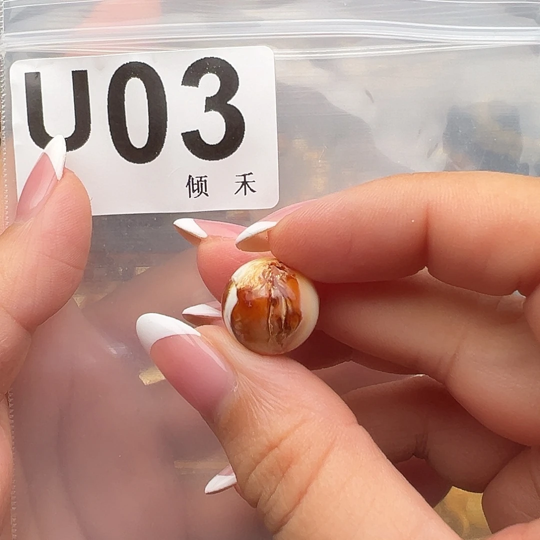 一****裸石琥珀未镶嵌微瑕14