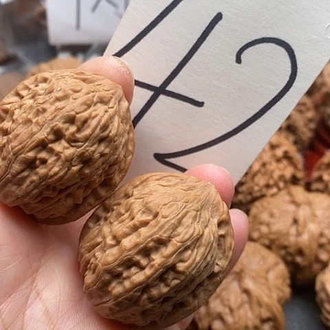 桃核吊坠35全品金瓜子