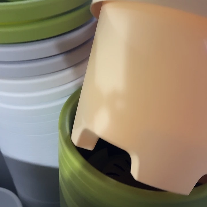 球根32口径5个无托米黄