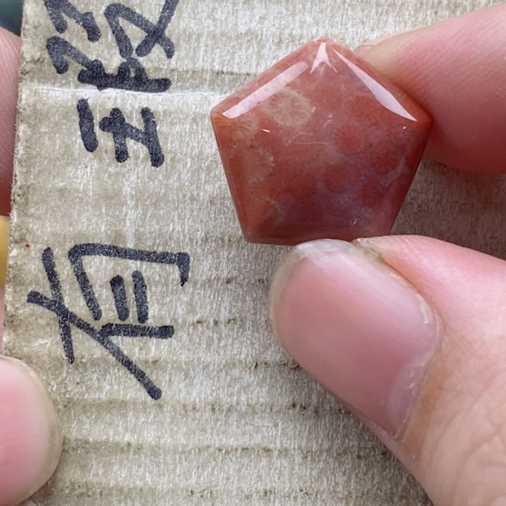 硅化珊瑚（珊瑚玉）未镶嵌颈饰y****