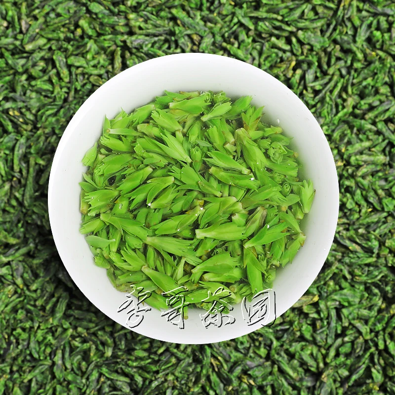 【李哥茶园】2025新茶小叶苦丁茶米芽绿色青山绿水鲜爽高山干茶高山