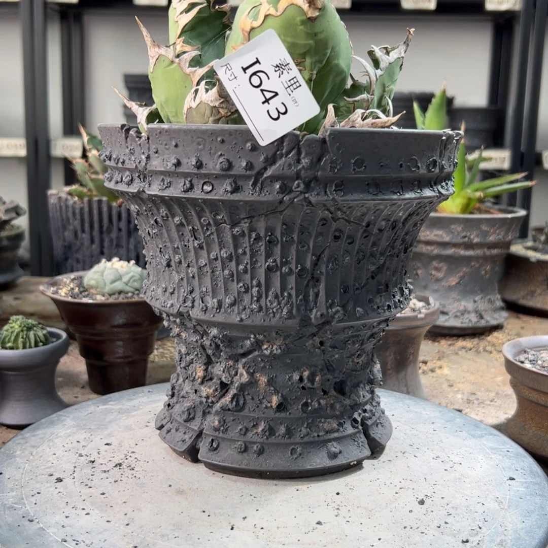 景德镇手工素里内口18.5高17.5