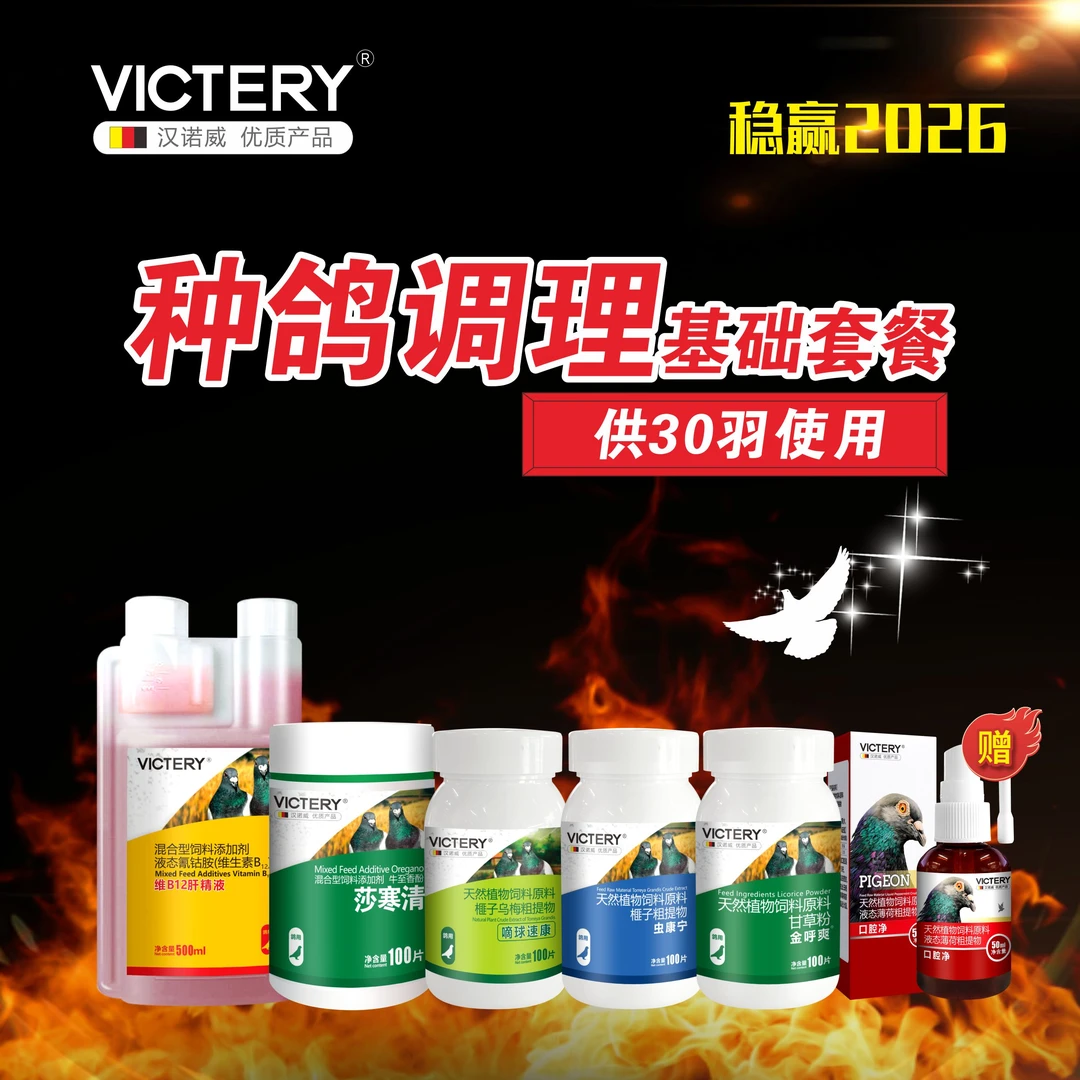 汉诺威 种鸽调理套餐  赛鸽信鸽用品 规格自选